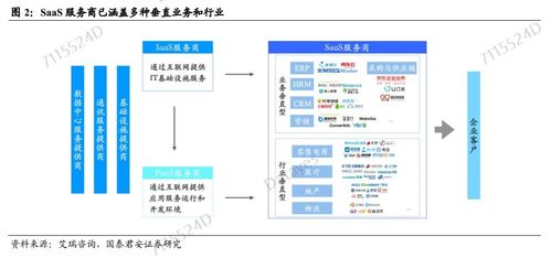 醫(yī)藥板塊集體崩跌 基礎(chǔ)軟件服務(wù)缺失的真相與啟示